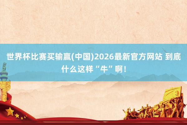 世界杯比赛买输赢(中国)2026最新官方网站 到底什么这样“牛”啊！