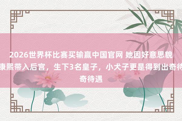 2026世界杯比赛买输赢中国官网 她因好意思貌被康熙带入后宫，生下3名皇子，小犬子更是得到出奇待遇