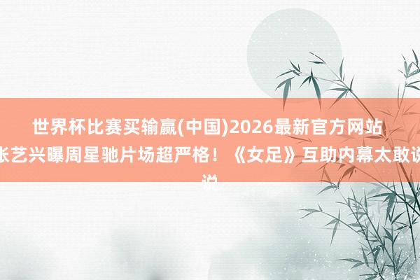 世界杯比赛买输赢(中国)2026最新官方网站 张艺兴曝周星驰片场超严格！《女足》互助内幕太敢说