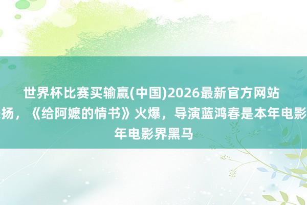 世界杯比赛买输赢(中国)2026最新官方网站 央视表扬，《给阿嬷的情书》火爆，导演蓝鸿春是本年电影界黑马