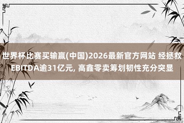 世界杯比赛买输赢(中国)2026最新官方网站 经拯救EBITDA逾31亿元， 高鑫零卖筹划韧性充分突显