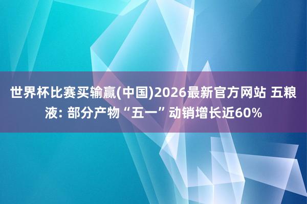 世界杯比赛买输赢(中国)2026最新官方网站 五粮液: 部分产物“五一”动销增长近60%