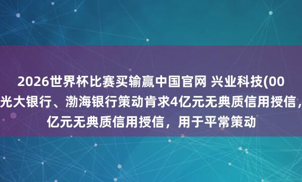 2026世界杯比赛买输赢中国官网 兴业科技(002674.SZ)：向光大银行、渤海银行策动肯求4亿元无典质信用授信，用于平常策动