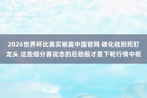 2026世界杯比赛买输赢中国官网 碳化硅别死盯龙头 这些细分赛说念的后劲股才是下轮行情中枢