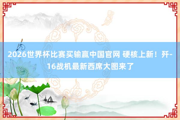 2026世界杯比赛买输赢中国官网 硬核上新！歼-16战机最新西席大图来了