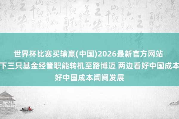 世界杯比赛买输赢(中国)2026最新官方网站 施罗德旗下三只基金经管职能转机至路博迈 两边看好中国成本阛阓发展