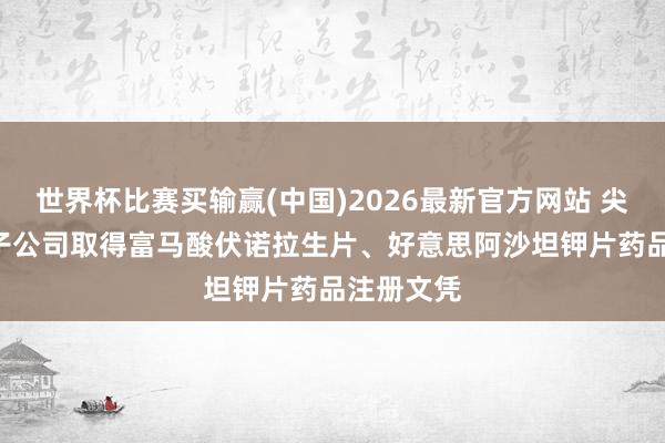 世界杯比赛买输赢(中国)2026最新官方网站 尖峰集团: 子公司取得富马酸伏诺拉生片、好意思阿沙坦钾片药品注册文凭