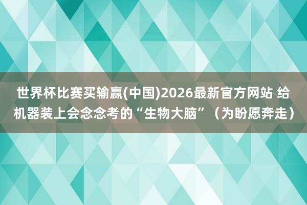 世界杯比赛买输赢(中国)2026最新官方网站 给机器装上会念念考的“生物大脑”（为盼愿奔走）
