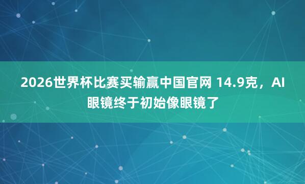 2026世界杯比赛买输赢中国官网 14.9克，AI眼镜终于初始像眼镜了