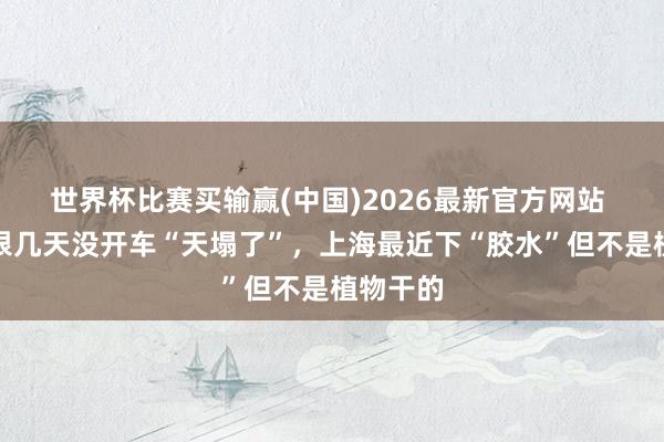 世界杯比赛买输赢(中国)2026最新官方网站 车主怀恨几天没开车“天塌了”，上海最近下“胶水”但不是植物干的