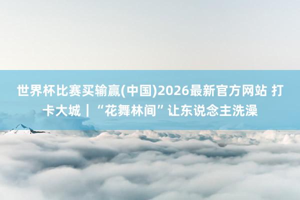 世界杯比赛买输赢(中国)2026最新官方网站 打卡大城｜“花舞林间”让东说念主洗澡