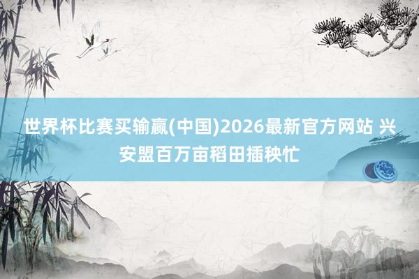 世界杯比赛买输赢(中国)2026最新官方网站 兴安盟百万亩稻田插秧忙