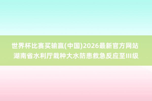 世界杯比赛买输赢(中国)2026最新官方网站 湖南省水利厅栽种大水防患救急反应至Ⅲ级