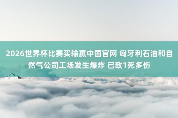 2026世界杯比赛买输赢中国官网 匈牙利石油和自然气公司工场发生爆炸 已致1死多伤
