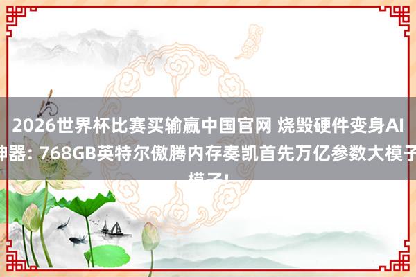 2026世界杯比赛买输赢中国官网 烧毁硬件变身AI神器: 768GB英特尔傲腾内存奏凯首先万亿参数大模子!