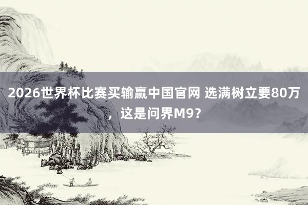 2026世界杯比赛买输赢中国官网 选满树立要80万，这是问界M9？