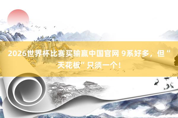2026世界杯比赛买输赢中国官网 9系好多，但“天花板”只须一个！