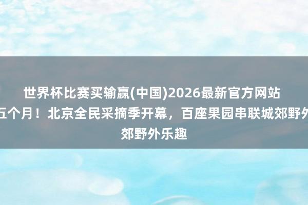 世界杯比赛买输赢(中国)2026最新官方网站 捏续五个月！北京全民采摘季开幕，百座果园串联城郊野外乐趣