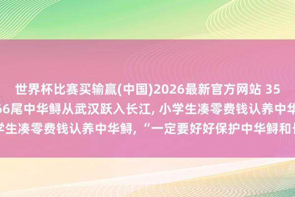 世界杯比赛买输赢(中国)2026最新官方网站 35城今天同步科学放流， 666尾中华鲟从武汉跃入长江， 小学生凑零费钱认养中华鲟， “一定要好好保护中华鲟和长江”