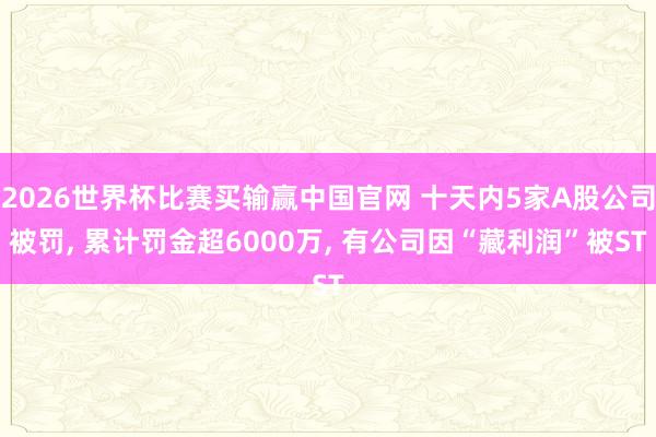 2026世界杯比赛买输赢中国官网 十天内5家A股公司被罚， 累计罚金超6000万， 有公司因“藏利润”被ST