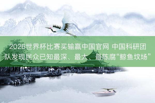 2026世界杯比赛买输赢中国官网 中国科研团队发现民众已知最深、最大、最陈腐“鲸鱼坟场”
