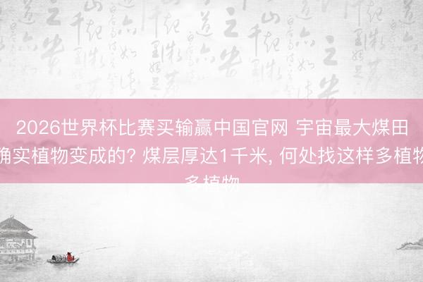 2026世界杯比赛买输赢中国官网 宇宙最大煤田确实植物变成的? 煤层厚达1千米， 何处找这样多植物