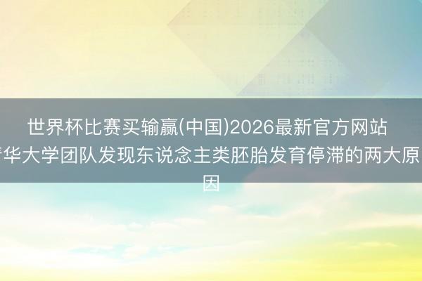世界杯比赛买输赢(中国)2026最新官方网站 清华大学团队发现东说念主类胚胎发育停滞的两大原因