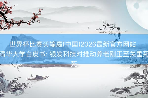 世界杯比赛买输赢(中国)2026最新官方网站 清华大学白皮书: 银发科技对推动养老刚正至关垂死
