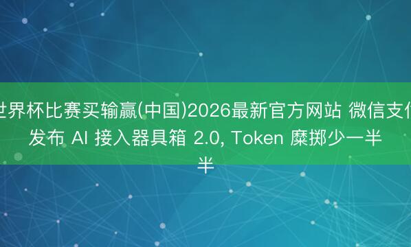 世界杯比赛买输赢(中国)2026最新官方网站 微信支付发布 AI 接入器具箱 2.0， Token 糜掷少一半